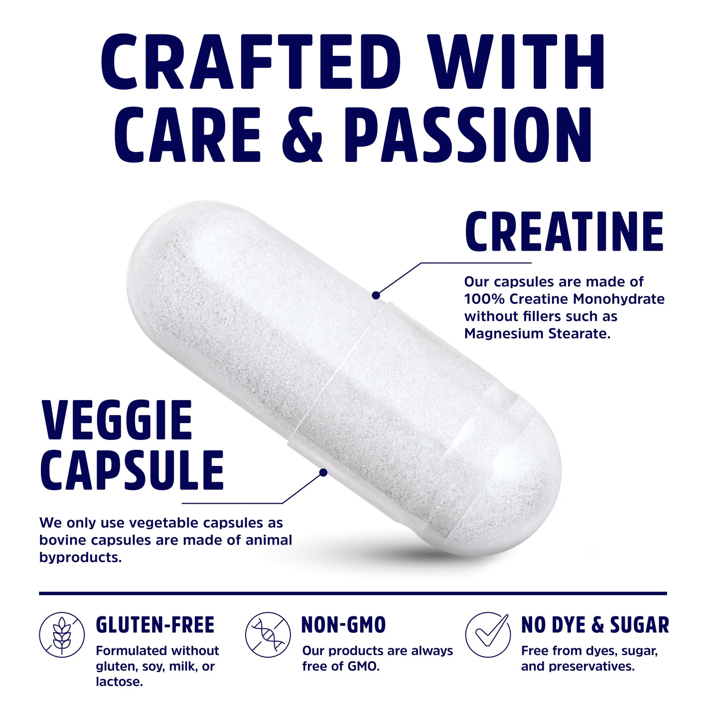 Creatine Monohydrate Capsules | Micronized for Higher Absorption | Vegan Capsules